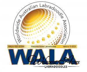WALA Badge