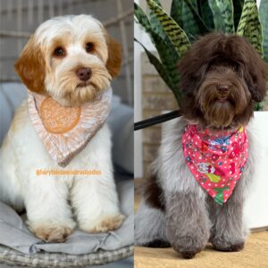 Silly Goose x Mermaid